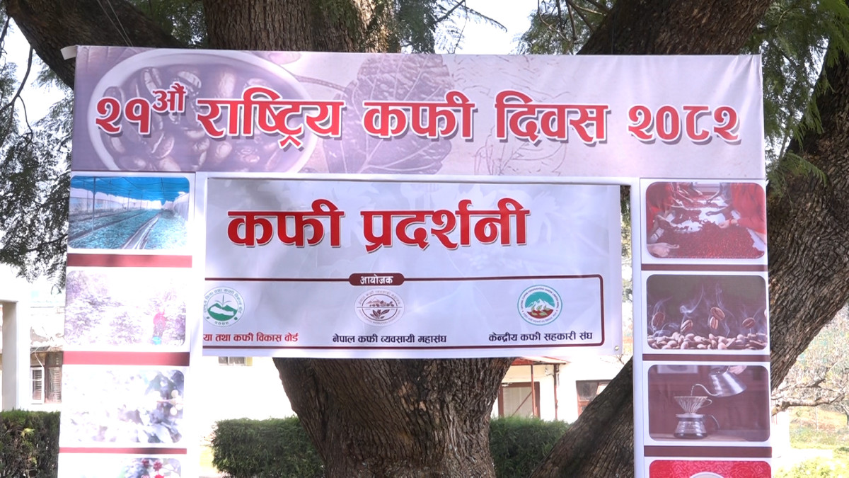 कफी उत्पादन २८ प्रतिशतले वृद्धि, मागअनुसार अझै कमी